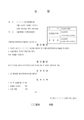 자동차운전면허취소처분취소